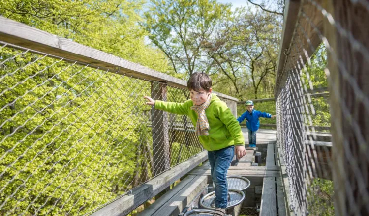 Familienausflüge auf Rügen – Entdecken, was Kinderherzen höherschlagen lässt