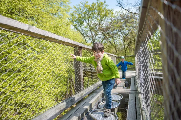 Familienausflüge auf Rügen – Entdecken, was Kinderherzen höherschlagen lässt