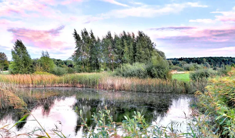 Golfplatz Schloss Karnitz bei schönem Wetter. Perfekt für einen Urlaub in den Arkona Strandresidenzen auf Rügen.