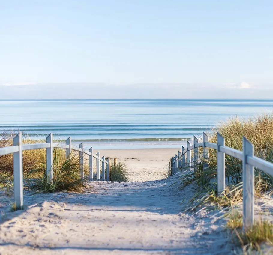 Ein langer, sandiger Gehweg umgeben von Natur zum Ostseestrand auf Rügen.