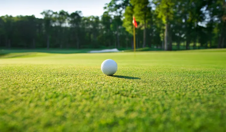 Detailaufnahme eines Golfballs auf einem besonders grünem Fairway im Golfurlaub in den Arkona Strandresidenzen auf Rügen.