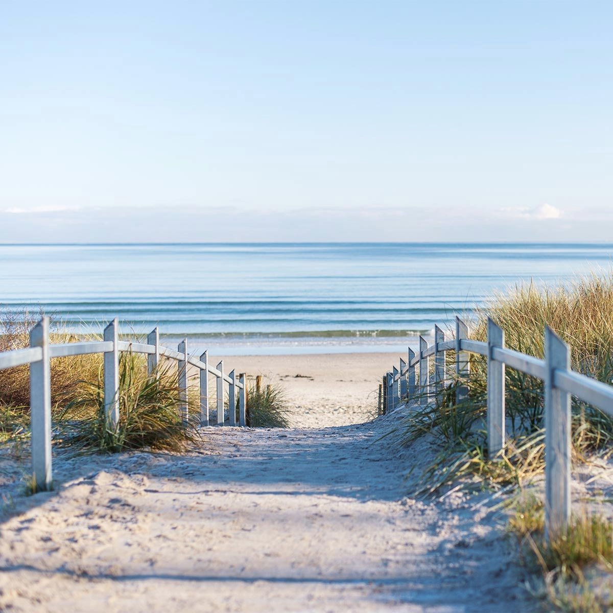 Ein langer, sandiger Gehweg umgeben von Natur zum Ostseestrand auf Rügen.